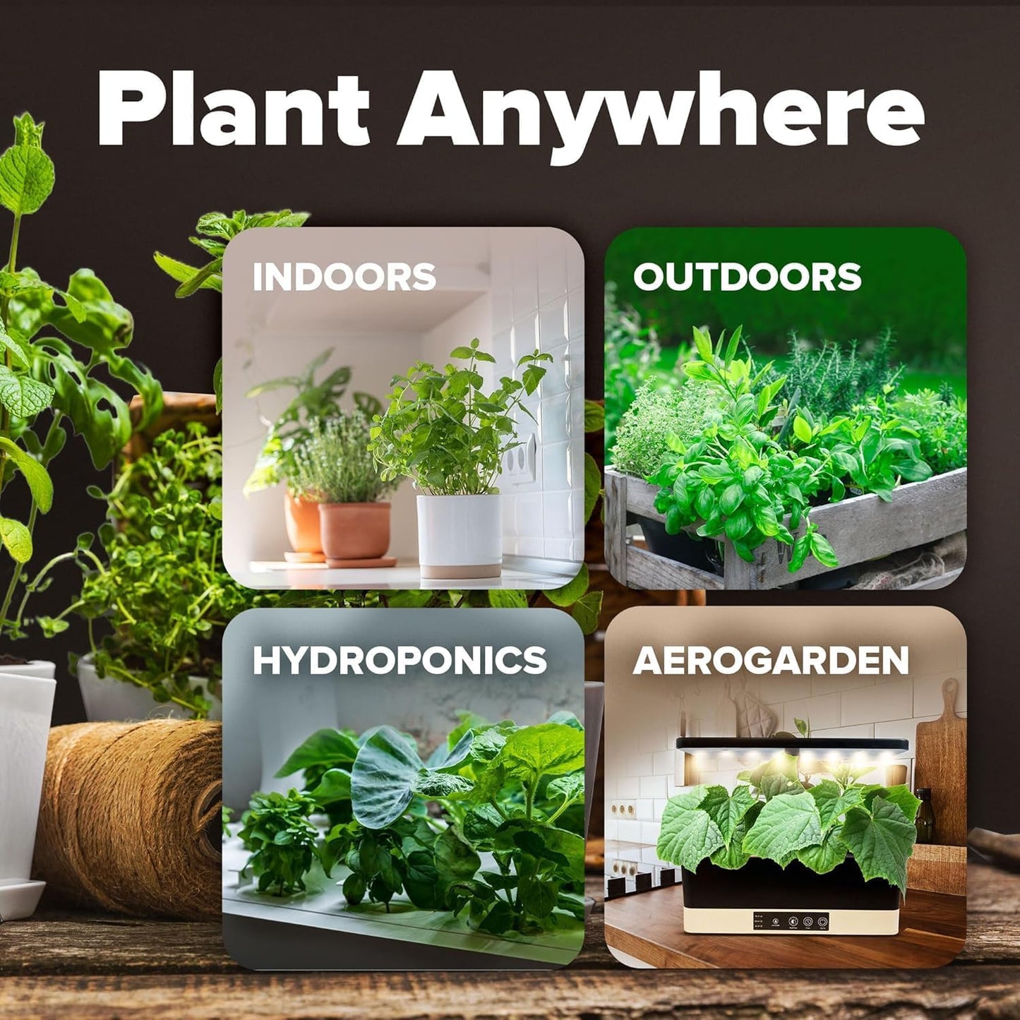 10 Variety Survival Seed Vault 2000+ USA Grown Heirloom Non-Gmo Vegetable Seeds for Planting, High Germination, Garden Starter Kit, Emergency Food Supply, Indoor Outdoor