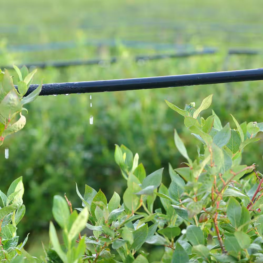 100 Ft. 1/4 In. Drip Irrigation Tubing, Blank Hose for Garden Watering System, Compatible with Emitters and Fittings