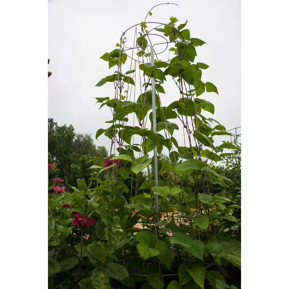 6 Ft. T Bean Growing Tower