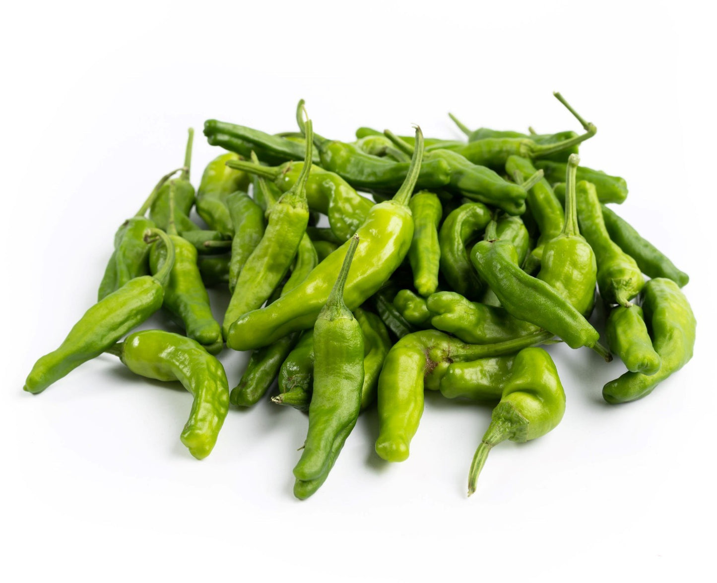 25+ Shishito Pepper Seeds | Heirloom Non-Gmo