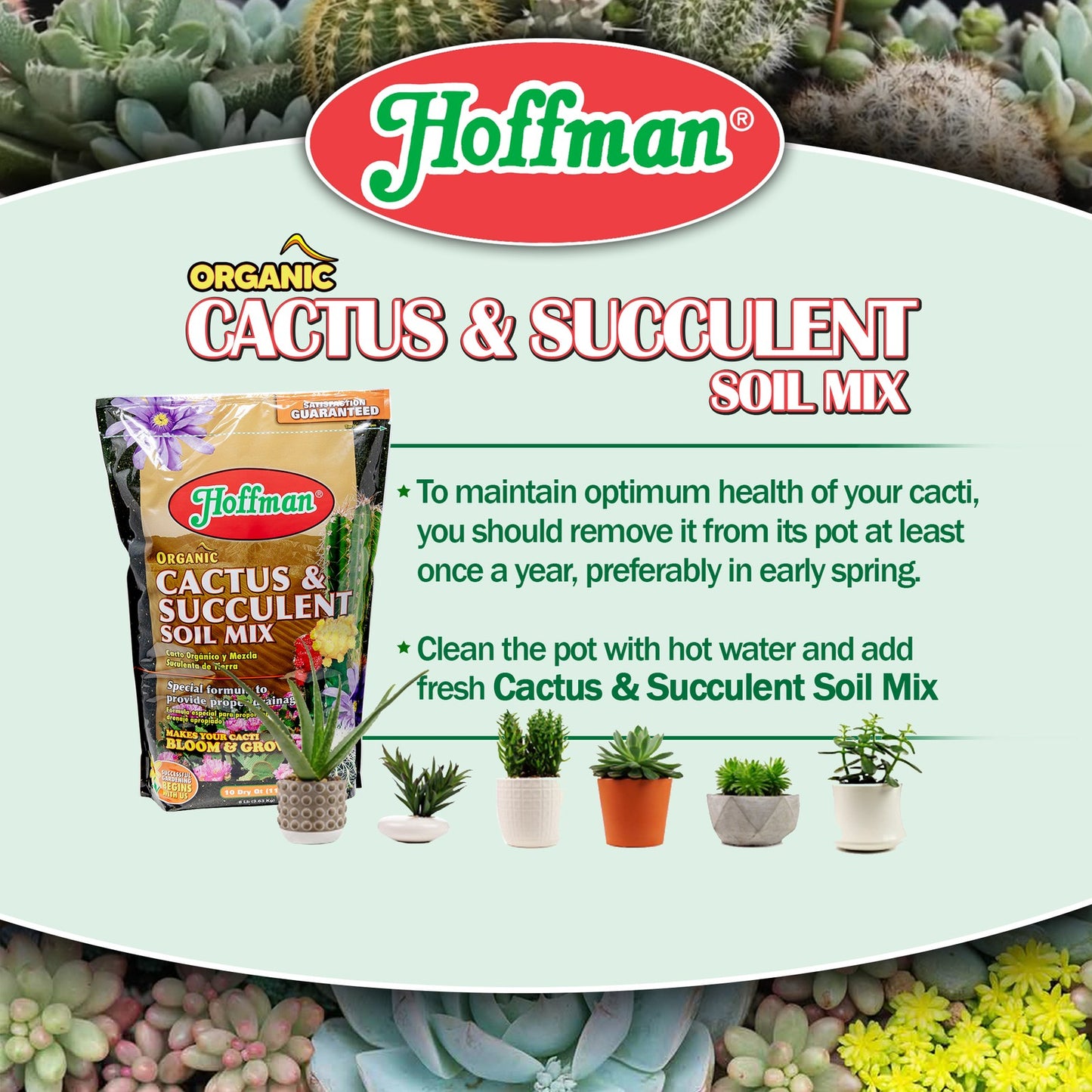 Hoffman Organic Cactus & Succulent Soil Mix — Fast‑Draining, Ph‑Balanced, 10Qt