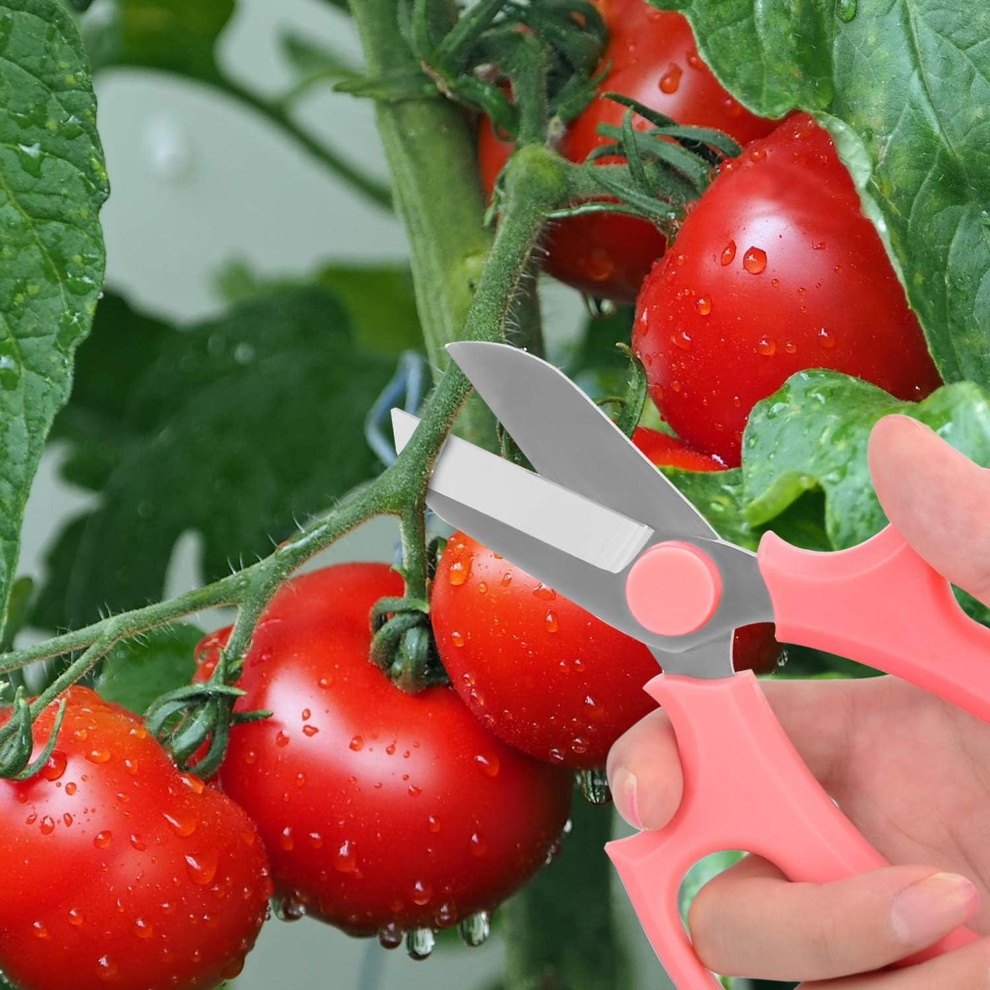 Flower Scissors, Strong Floral Shears, Premium Steel Garden Pruning Shears Garden Scissors Floral Fruits Leaf Scissors Hand Pruner Snip Trimming Tool for Gardening Flower Arrangement, Pink
