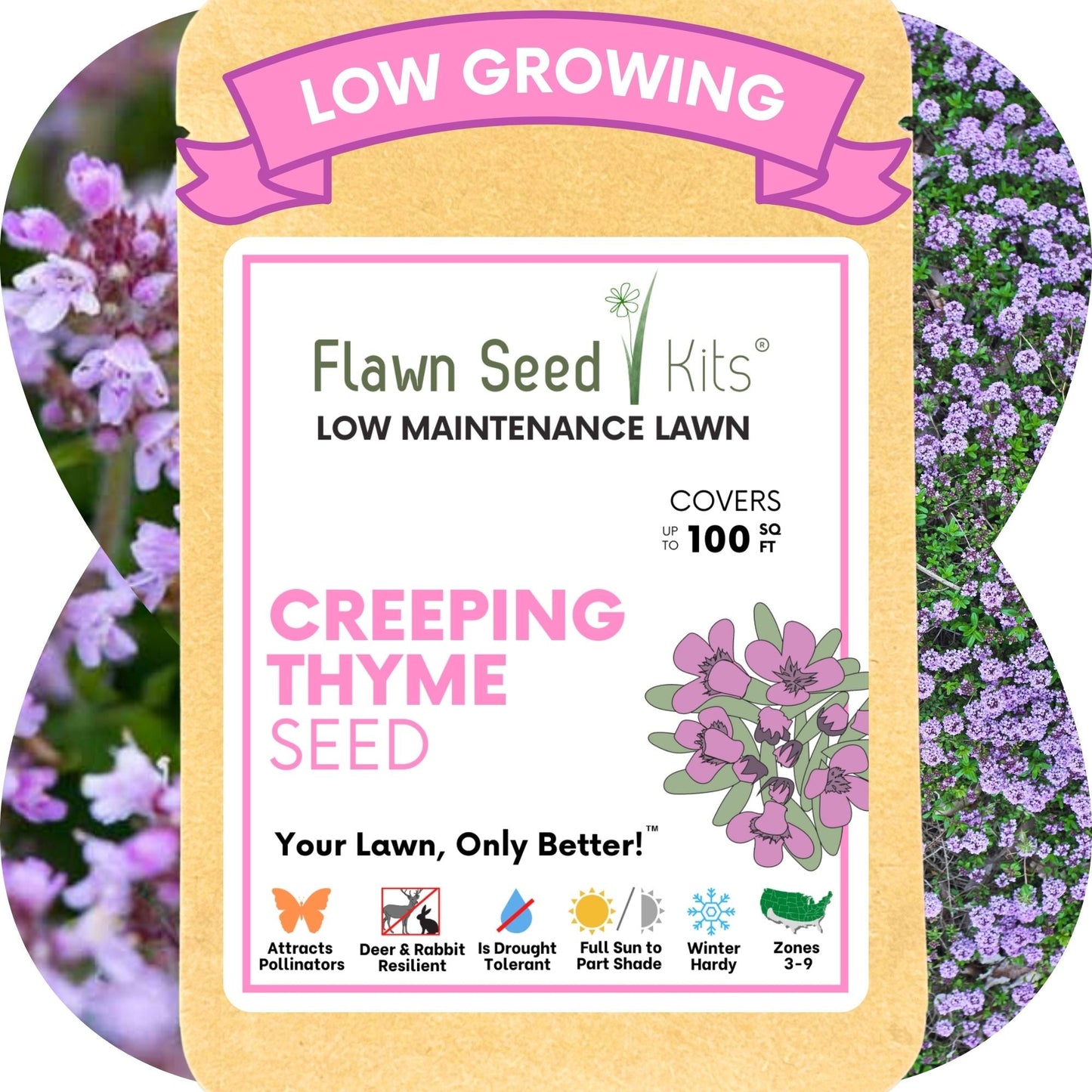 Creeping Thyme Seed Pouch