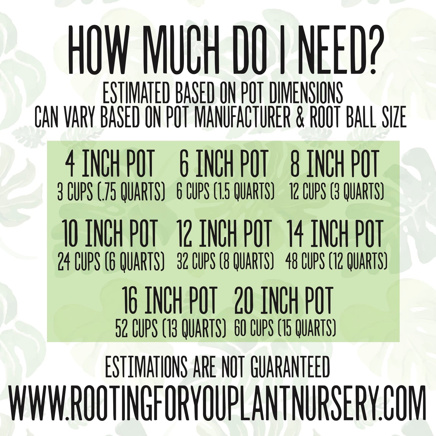PEPEROMIA Premium Potting Mix