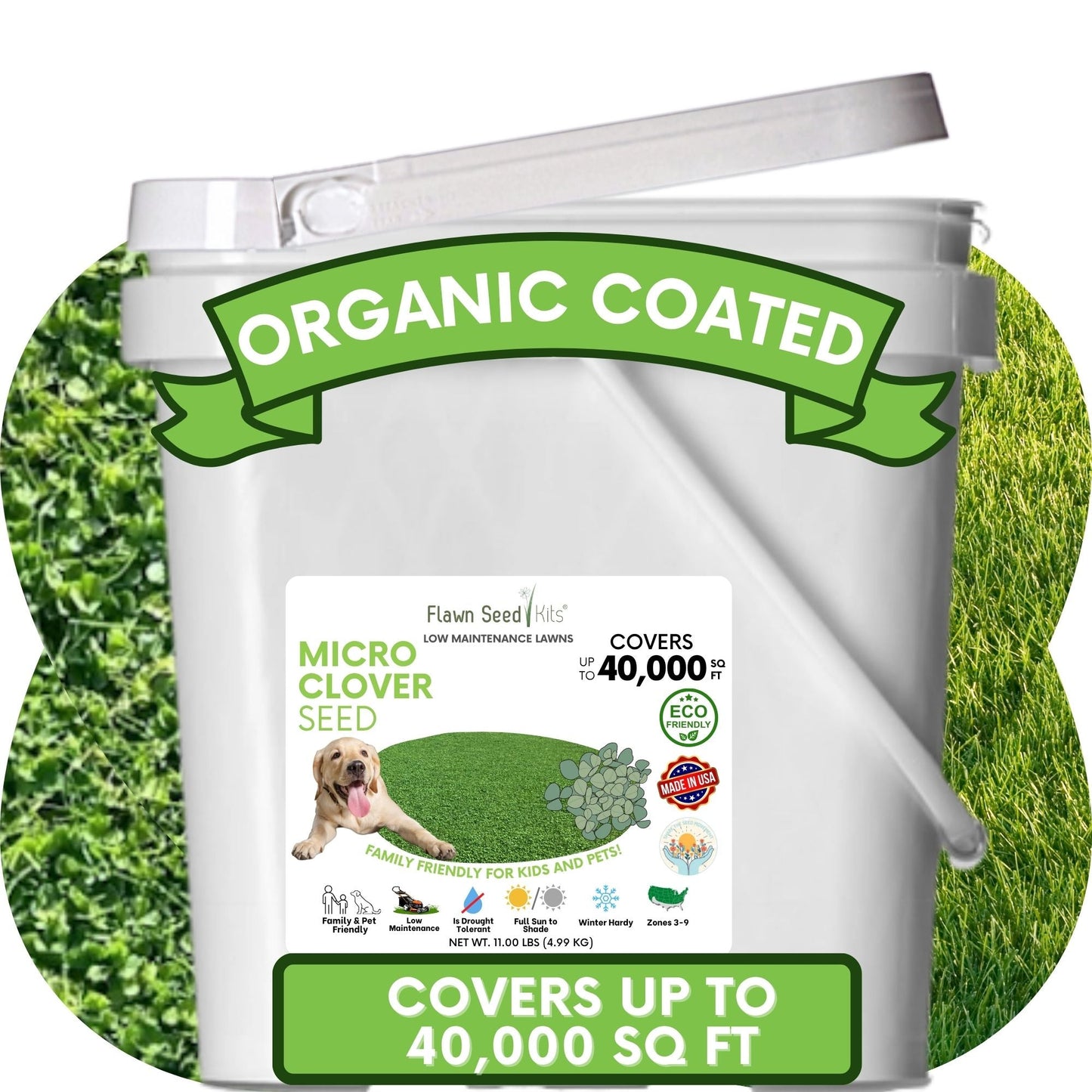 Micro Clover Seed