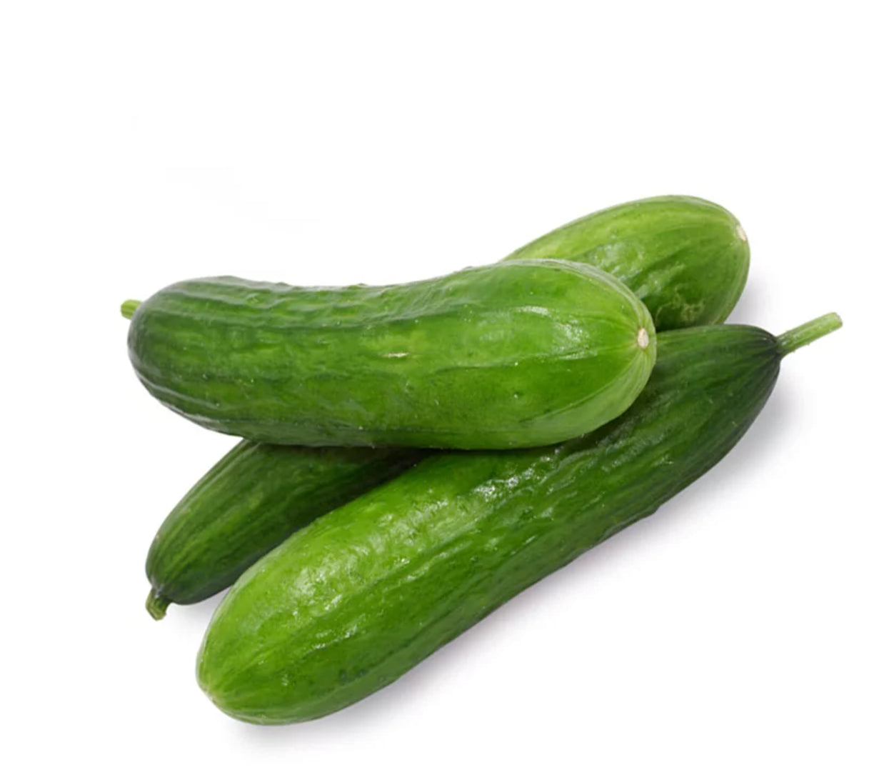 Persian Cucumber Seeds Non-Gmo Burpless Mini Thin Skin Sweet Snacking