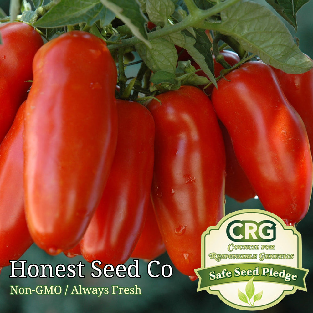 San Marzano Tomato Seeds | Heirloom | Non-Gmo | Fresh Garden Seeds