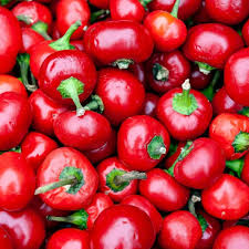 250mg Large Cherry Hot Pepper Seeds Capsicum annuum | Mild to Medium Heat, Non-GMO, Perfect for Salsas, Pickling, and Garnishing
