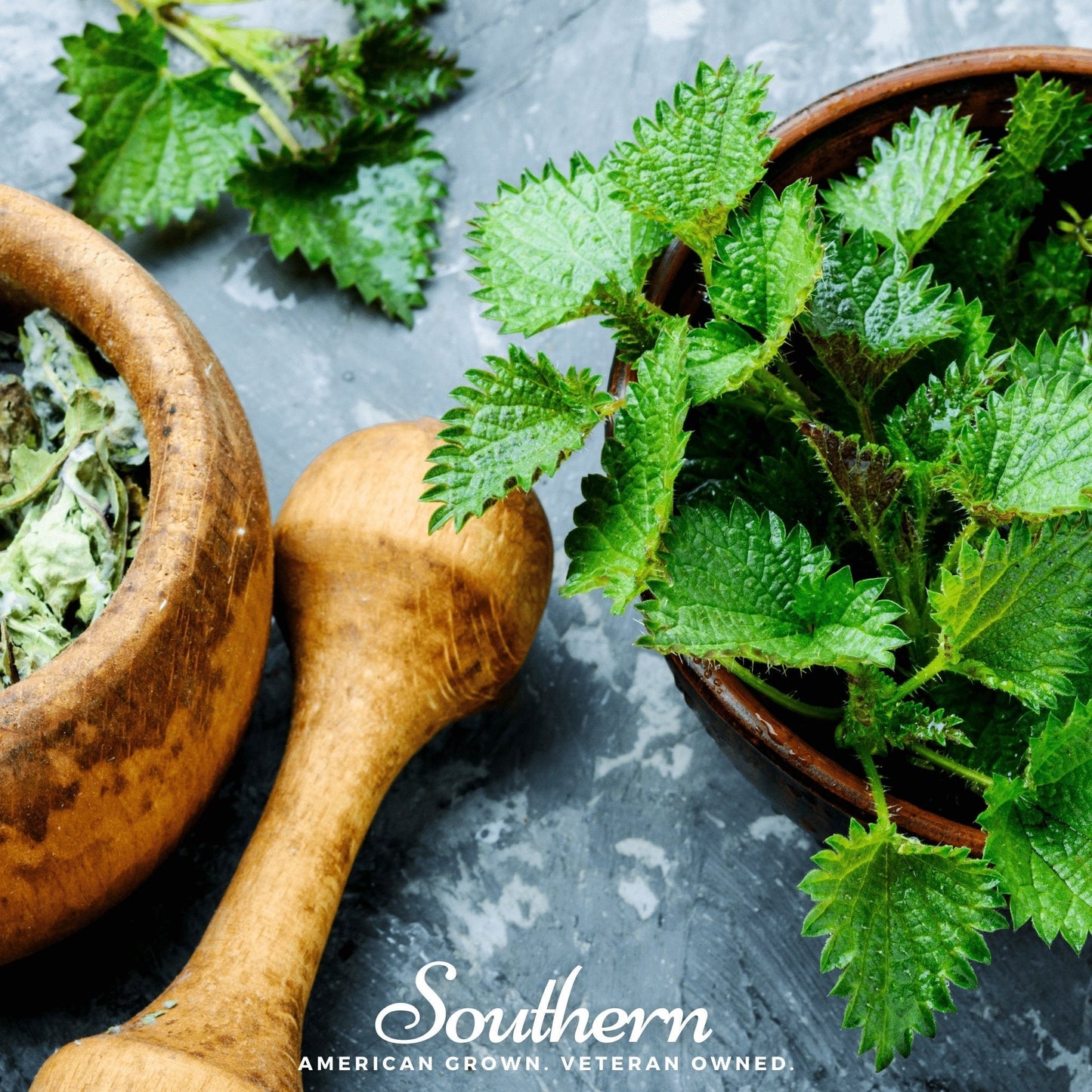 Stinging Nettle – 100 Seeds