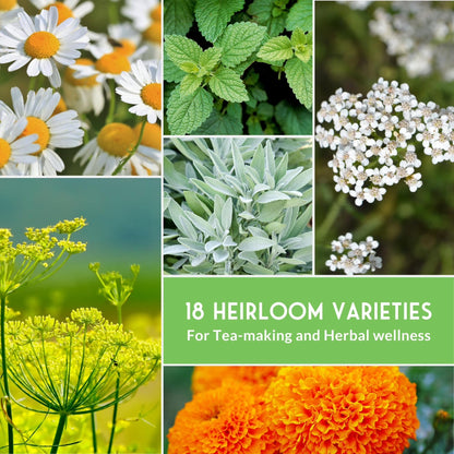 18 Pack Medicinal Herb Seed Collection - Non-Gmo Heirloom Full Sun Perennial & Annual