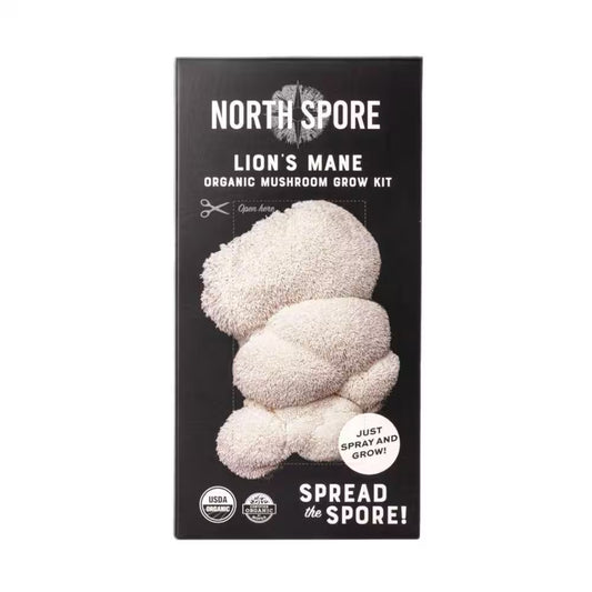 Organic Lion'S Mane Mushroom Spray and Grow