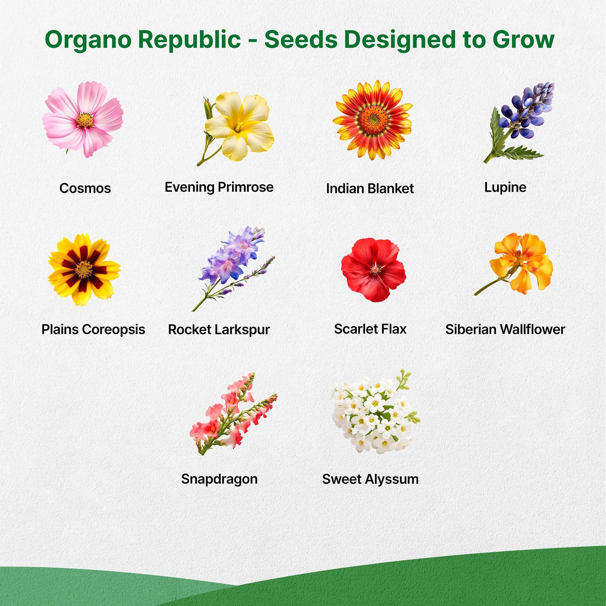 21 Annual Wildflower Seeds Mix, 100,000+ Non-Gmo Heirloom Wildflower Garden Seeds