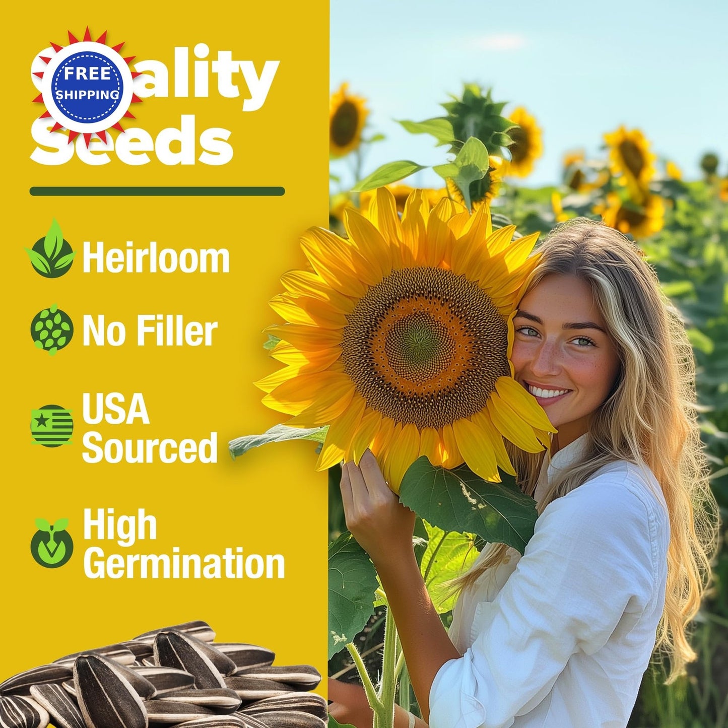 Mammoth Sunflower Seeds 520+ Giant for Planting Bulk Packet Heirloom HOME GROWN