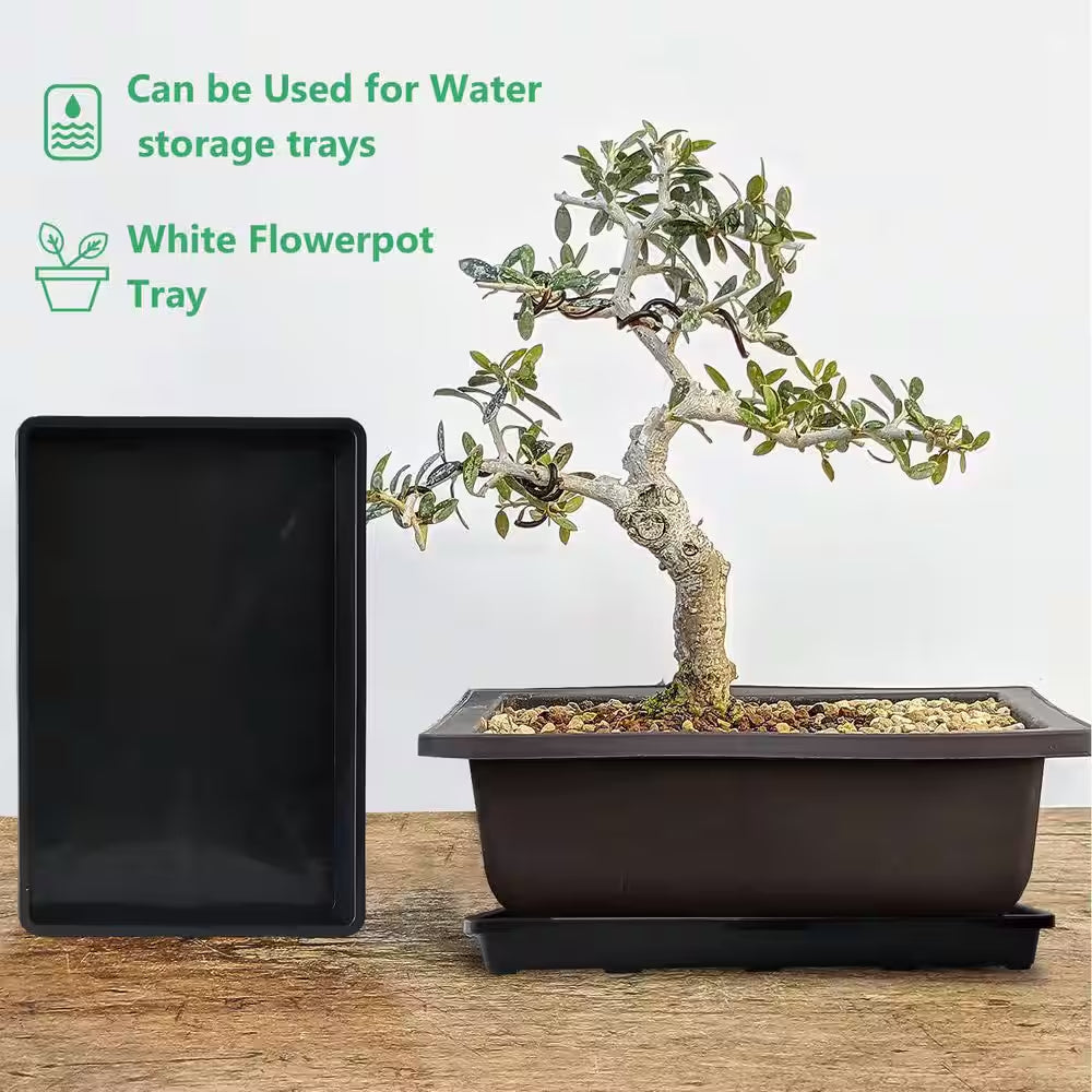 5-Pack Nursery Potting Tray for Seeds Starting Pot Collecting Drainage Water Black