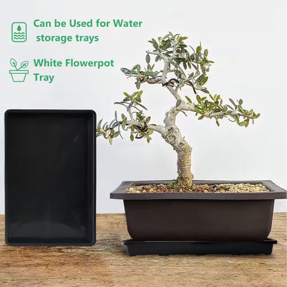 5-Pack Nursery Potting Tray for Seeds Starting Pot Collecting Drainage Water Black