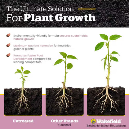 Biochar Blend with Carbonboostfor Indoor Houseplants, Soil Amendment-4 Qt. Bag