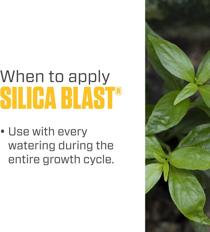 Silica Blast, Plant Supplement, 0-0-0.5, 1 Qt.