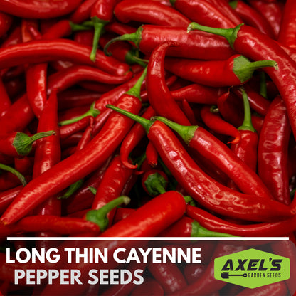 Hot Cayenne Pepper Heirloom Non-Gmo Seeds