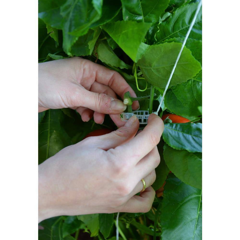 Greenhouse Trellising Kit Pro