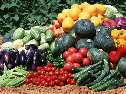 Survival/ Garden Heirloom Seed Cache 300,000+ Seeds, Non - GMO, "55 Varieties"