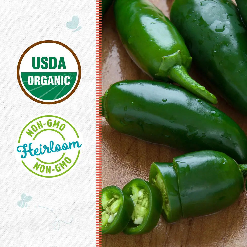 Organic Jalapeno Pepper Seed (1-Pack)