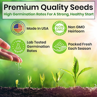 5 Herb Seeds Variety Kit, Oregano, Cilantro, Parsley, Basil, Chives