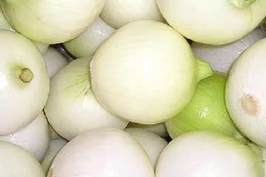 White Wax Onion Seeds | Non-GMO Heirloom Variety | Fresh Garden Seeds USA | Allium cepa
