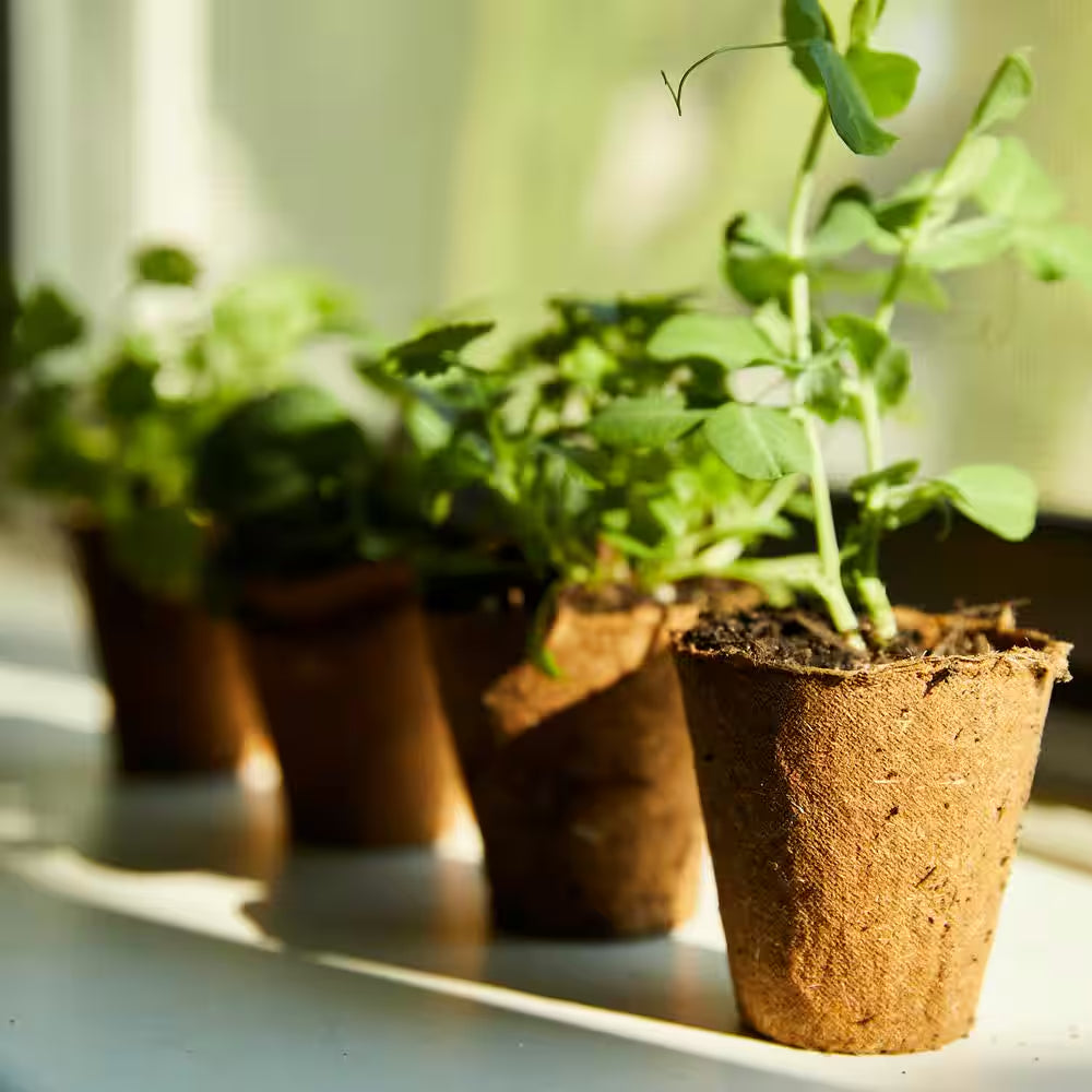 Organic and Plantable Seed Starter Kit Pots (24Ct)