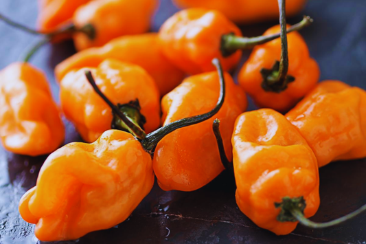 Orange Habanero Pepper Seeds - 25+ Non-GMO Fresh Garden Seeds - Capsicum chinense