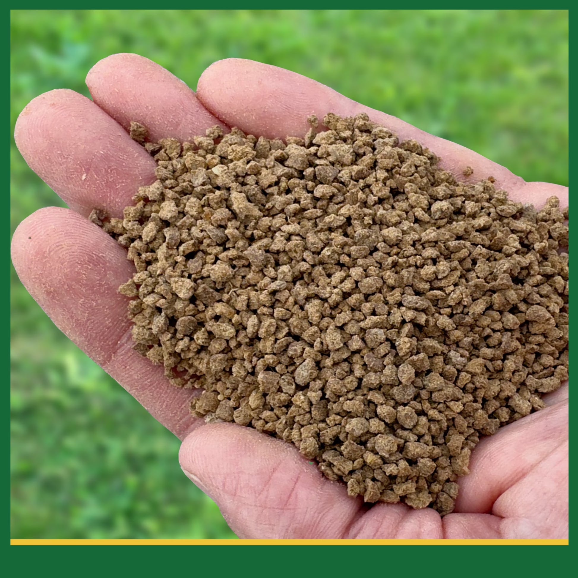 Berry Tone Natural & Organic Plant Food 4 Lbs for Blueberries & Raspberries