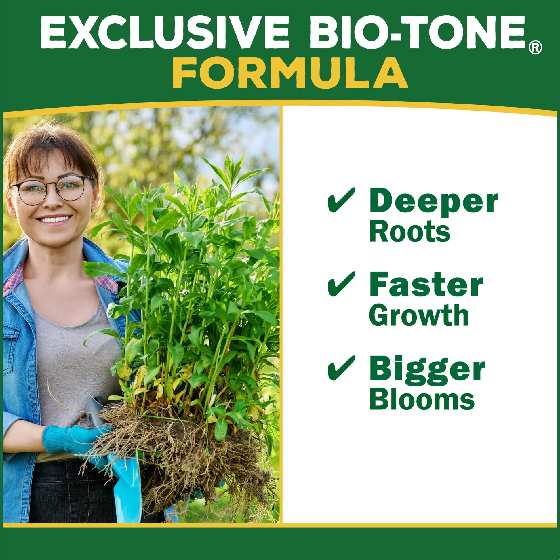 Berry Tone Natural & Organic Plant Food 4 Lbs for Blueberries & Raspberries
