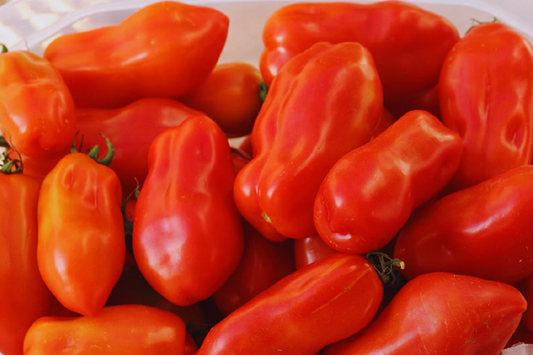 San Marzano Tomato Seeds - 100+ Heirloom Non-GMO Garden Seeds - Perfect for Home Gardening - Solanum lycopersicum