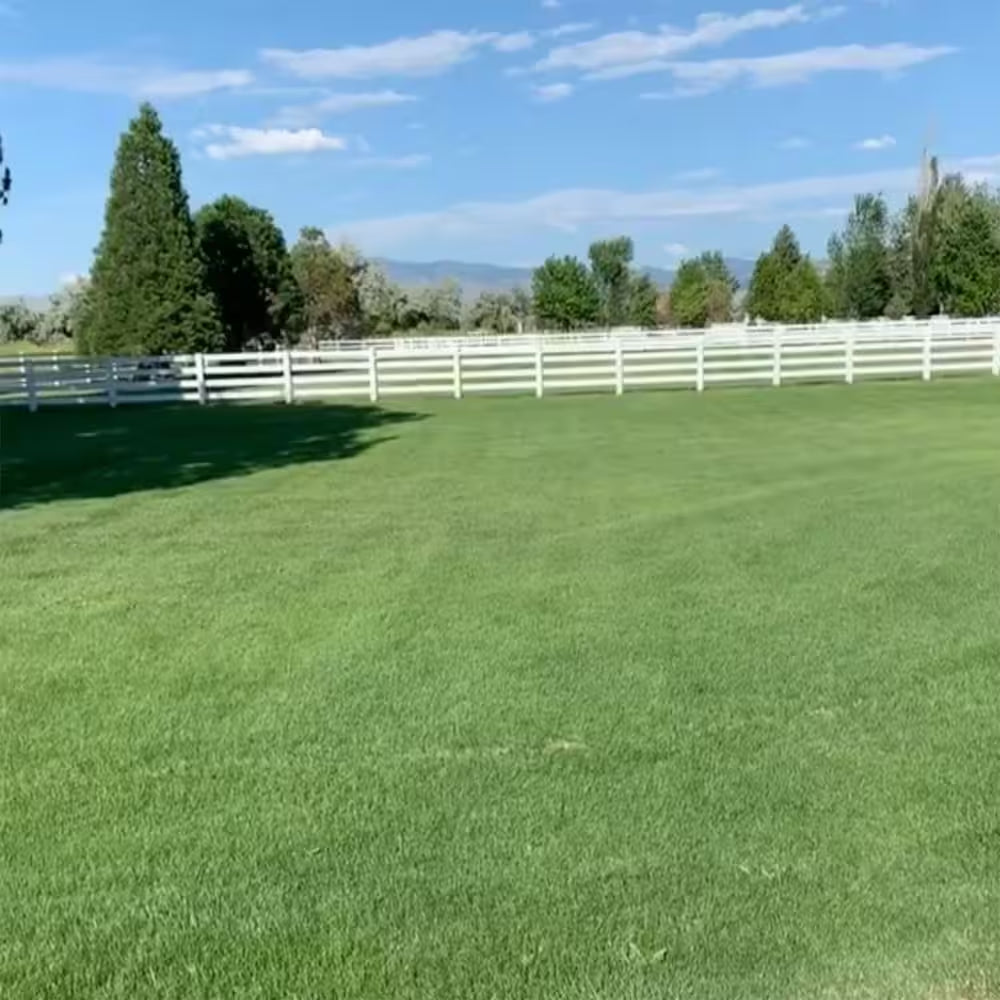 25 Lbs. Huma-Iron Lawn Soil Amendment