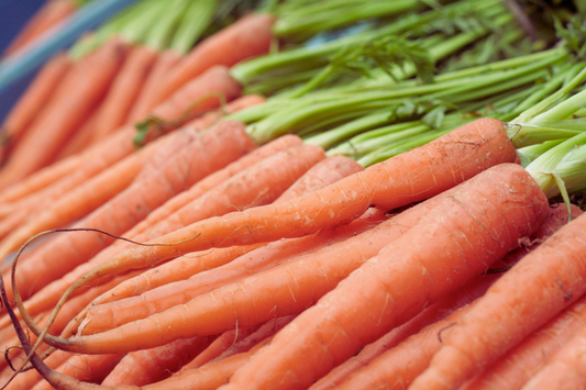 Tendersweet Carrot Seeds - 800+ Non-GMO Seeds for Fresh Garden | Daucus carota - USA Free Shipping
