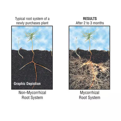 9 Oz. Tree Saver Soil Amendment for Transplanting Trees and Shrubs (3-Count of 3 Oz. Packets)