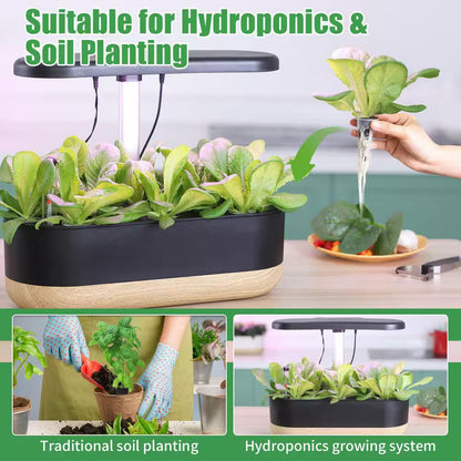 80 Sponges 20 Baskets 1 Tweezer Hydroponic Grow Kit with Seed Pods for Indoor Outdoor Garden Planting System (101-Pack)