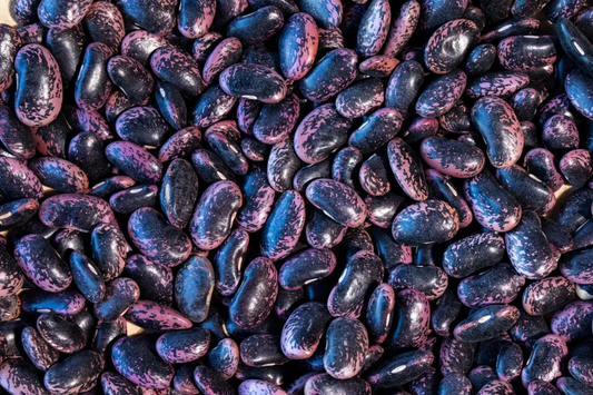 Runner Bean Seeds | Flat Bean Variety | Scarlet Runner | Phaseolus coccineus