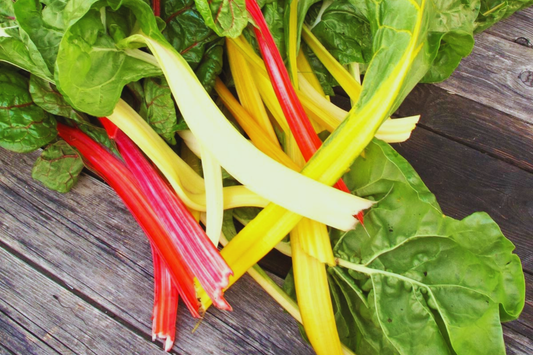 Rainbow Mixture Swiss Chard Seeds | Bright Lights | NON-GMO | Beta vulgaris subsp. cicla