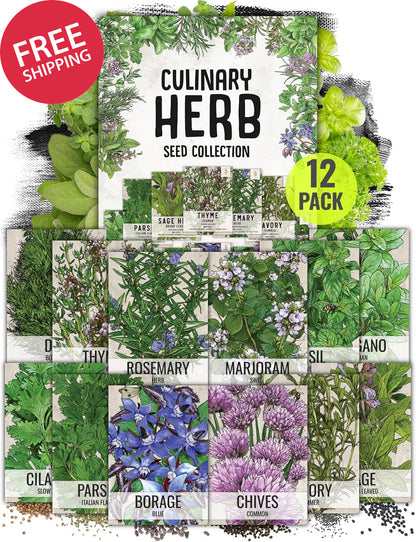Herb Seeds Variety Pack Culinary Herb Collection (12 Individual Packets for Plan
