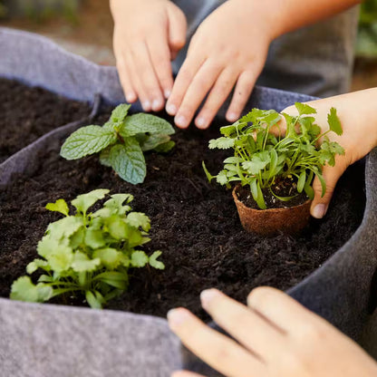 Organic and Plantable Seed Starter Kit Pots (24Ct)