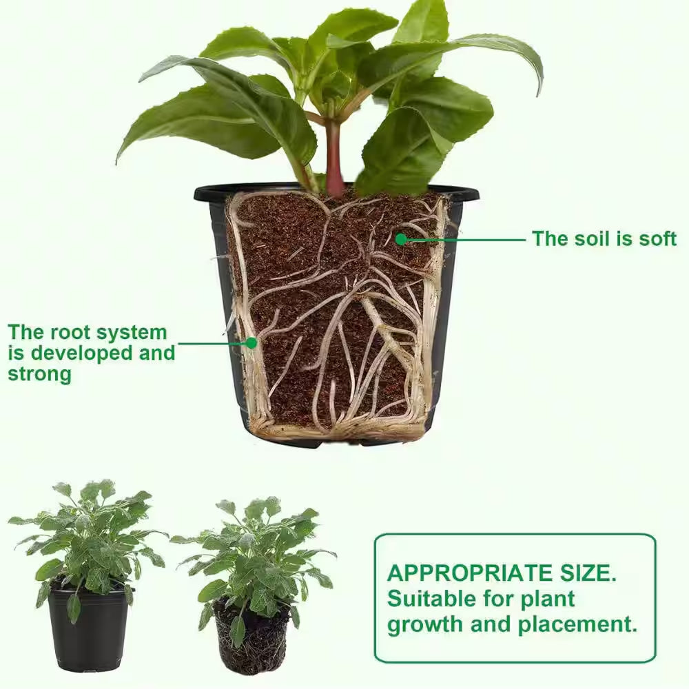 6 In. 0.5 Gal Dia Black Plastic Plant Nursery Seed Starting Nursery Pots