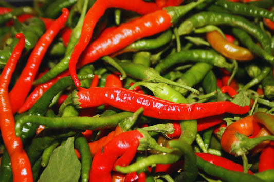 Hot Cayenne Long Slim Pepper Seeds - 40+ NON-GMO Heirloom Seeds for Home Gardening - Capsicum annuum