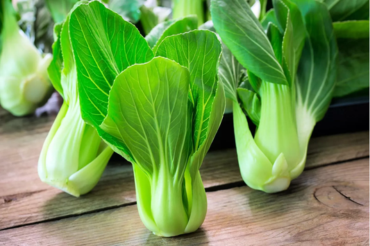 Pak Choi Seeds | Sweet Variety | Non-GMO Chinese Sweet Cabbage | Brassica rapa subsp. chinensis