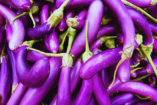 Long Purple Eggplant Seeds - Italian & Chinese Variety - Solanum melongena - Non-GMO, Heirloom, Garden Seeds