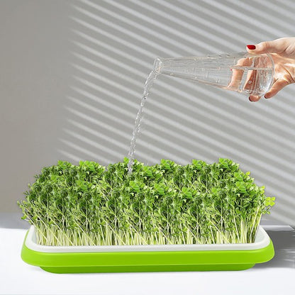 Seed Sprouting Tray 10 Packs Microgreens Growing Trays Big Capacity Sprouts Kit