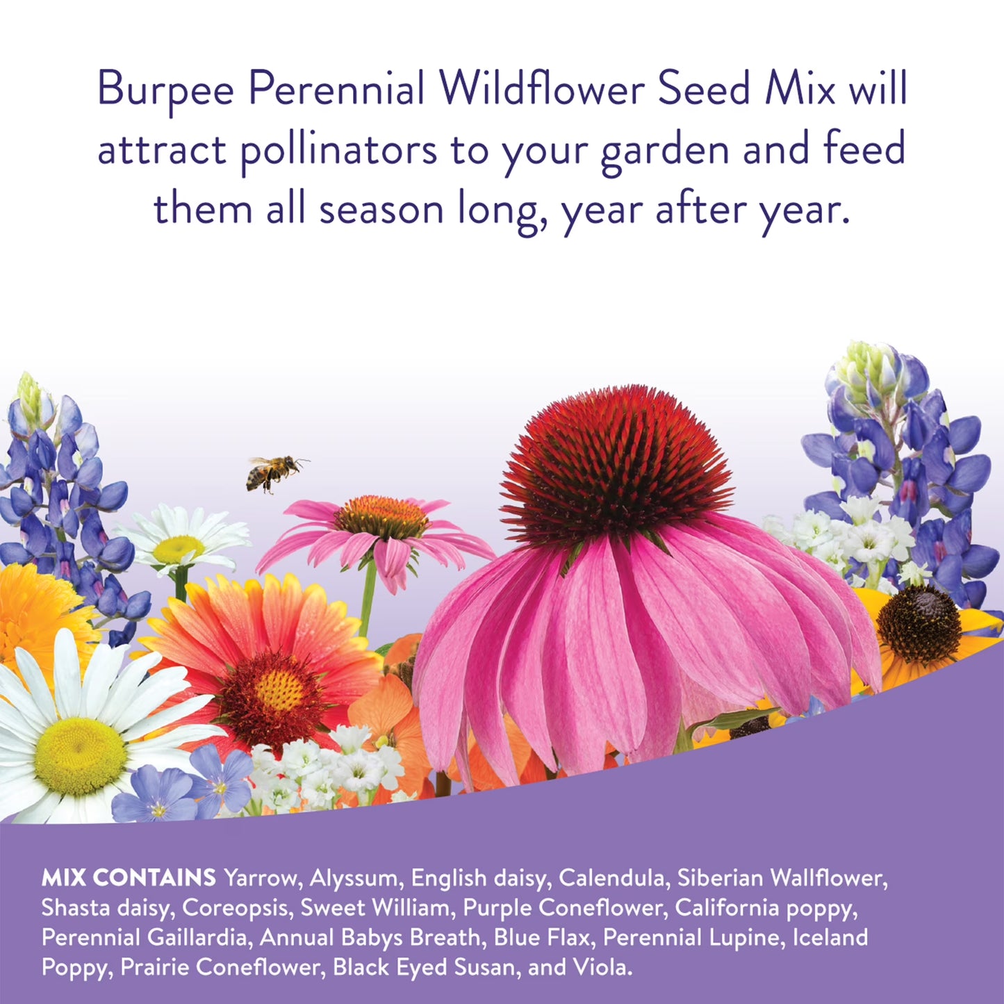Perennial Wildflower Seeds Mix – Non-Gmo, Attracts Pollinators, Perennial Flowers, 50,000 Seeds, 1 Bag