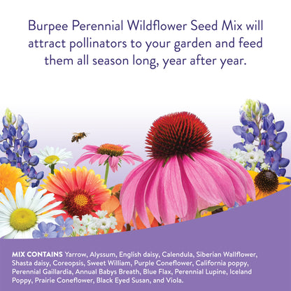 Perennial Wildflower Seeds Mix – Non-Gmo, Attracts Pollinators, Perennial Flowers, 50,000 Seeds, 1 Bag