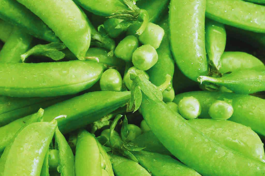 Sugar Snap Pea Seeds | NON-GMO | Original Snap Pea Variety | Pisum sativum