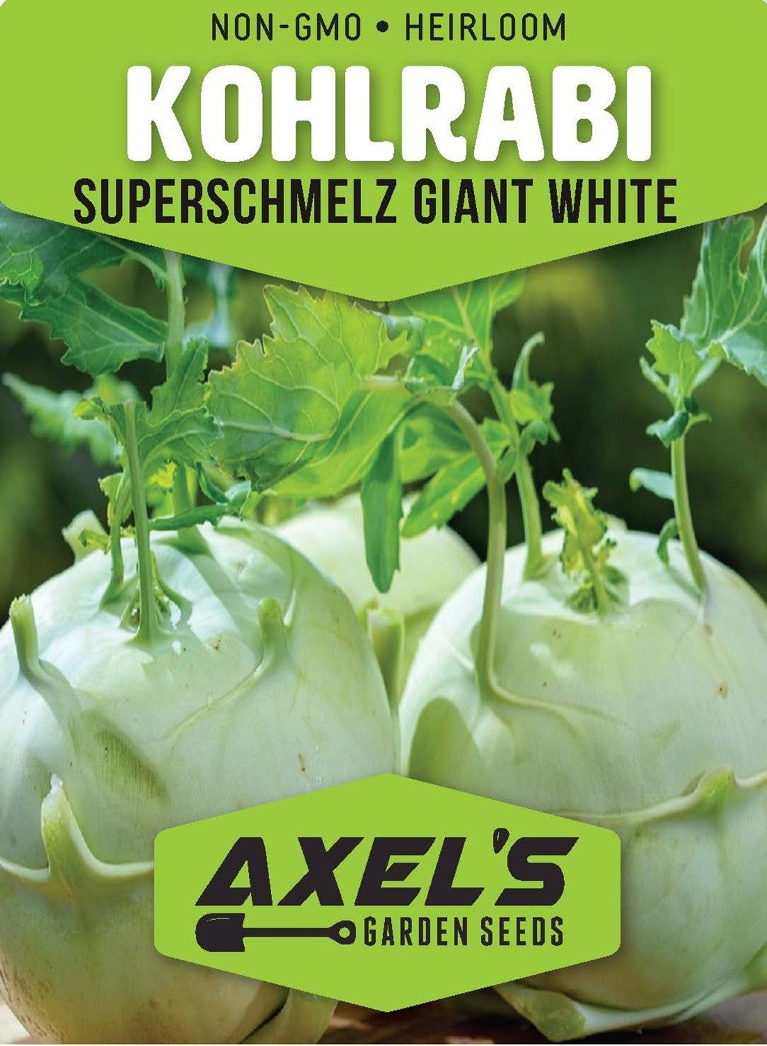 Giant White Kohlrabi Seeds | Heirloom | Non-Gmo | Fresh Garden Seeds