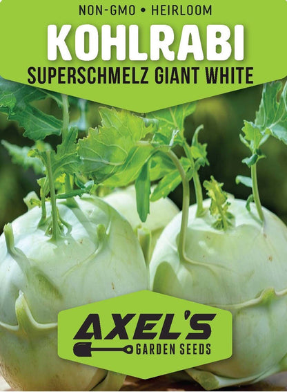 Giant White Kohlrabi Seeds | Heirloom | Non-Gmo | Fresh Garden Seeds